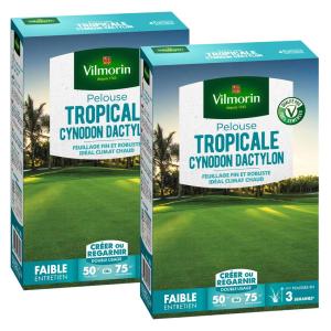 Pelouse Tropicale - Cynodon Dactylon - 500 g (x2)